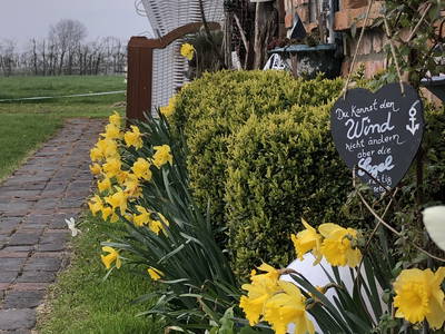 Bild 19 aus  Schwalbenhof