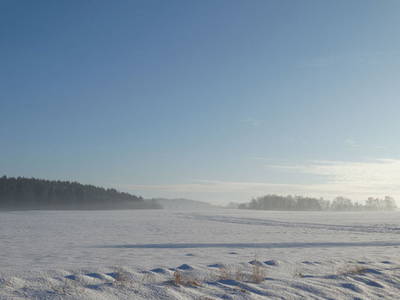 Bild 36 aus  Schwarz-Hof