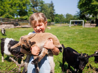Bild 3 aus  Ferienhof Sonnengarten