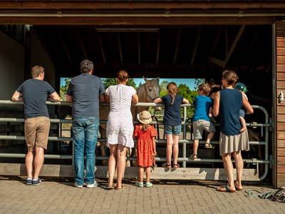 Bild 44 aus  LandSelection Grieshof