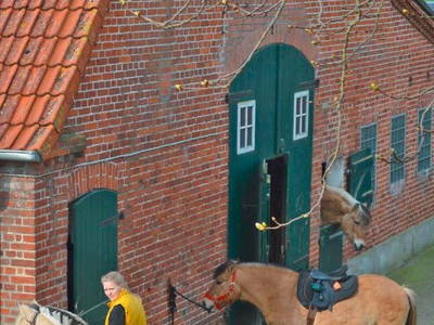 Das größte Glück der Erde liegt auf dem Rücken der Pferde!