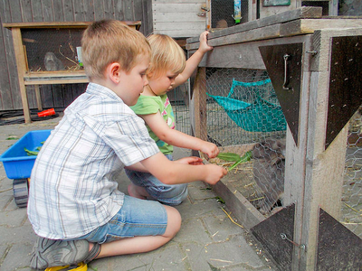 Bild 20 aus  Ferienhof Siber