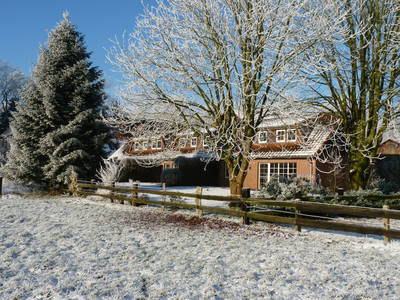 Bild 51 aus  Leverenzhof