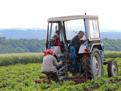 Bild 15 aus  Hübner-Wagner