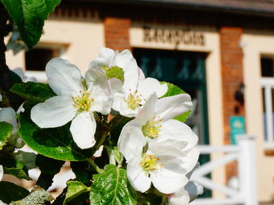 Bild 9 aus  LandSelection Ostsee: Gutshof Bastorf
