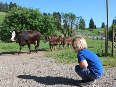 Bild 14 aus  Ferienhof Miller