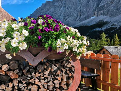 Bild 10 aus  Ferienhaus Berger