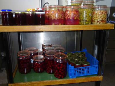 Obst aus dem eigenen Garten