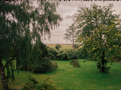 Bild 7 aus  "Reet" Landhaus Hartwig bei St. Peter-Ordings Sandstrand