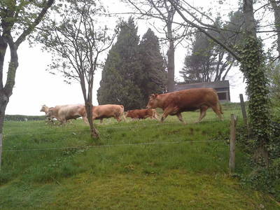 Bild 15 aus  Ferienhof Schmiddes