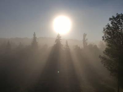 Bild 30 aus  Le Colombié - Ferienhäuser an der Dordogne mieten