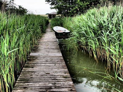 Bild 32 aus  Gestüt Hof am See