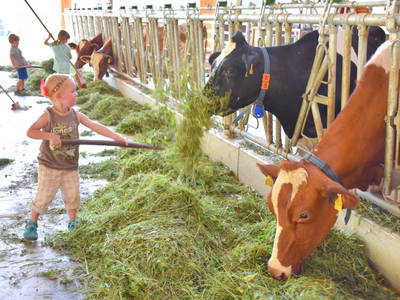 Bild 28 aus  Ramsteinerhof