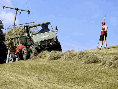 Bild 7 aus  Vollmershof