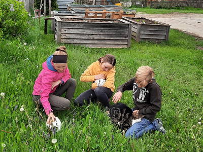 Bild 16 aus  Ferienhof Moosreiten