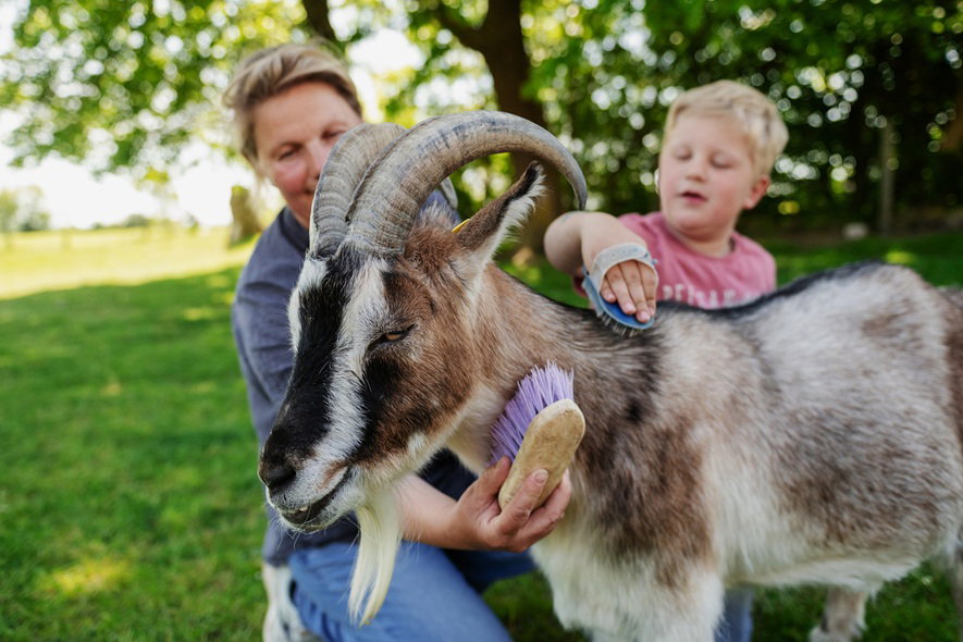 Familienparadies auf Fehmarn - Bauernhofurlaub mit Tieren, viel Platz zum Spielen & Ostseenähe