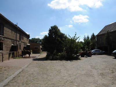 Bild 11 aus  Luisenhof Paretz