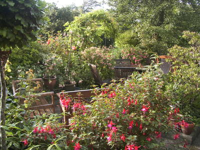 Bild 15 aus  Vejstrupgaard