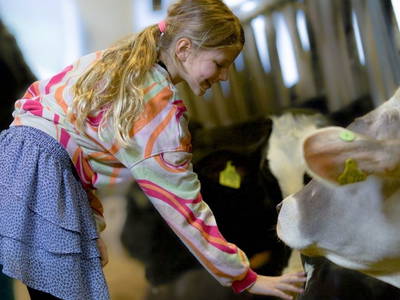 Bild 34 aus  Hofgut Schleinsee  - idyllisch am eigenen See