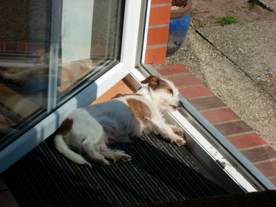 Bild 19 aus  Hof Meyenburg