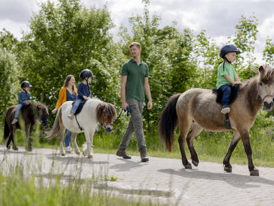 Bild 4 aus  Ferienbauernhof Ohr