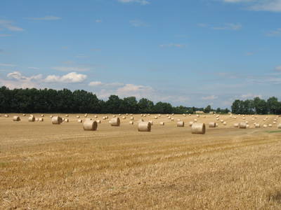 Bild 41 aus  Gut Sommereichen