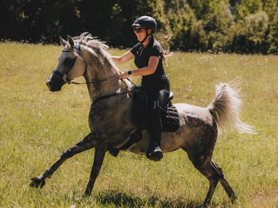 Bild 19 aus  Rancone Lodges