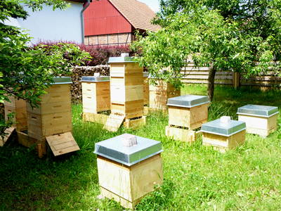 Bild 15 aus  Ferienhof Am Wunderberg