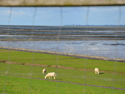 Bild 35 aus  Landhotel Rehedyk