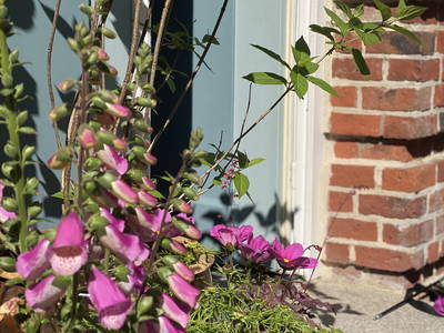 Bild 49 aus  Alter Bahnhof Vaale