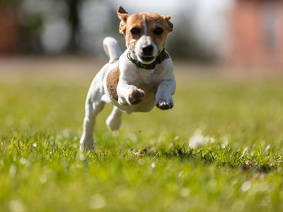 Bild 18 aus  Hinrich's Ostsee Bauernhof