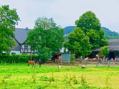 Bild 12 aus  Hubertushof, der Bilderbuchbauernhof