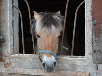 Bild 15 aus  Ferienhof Rauert