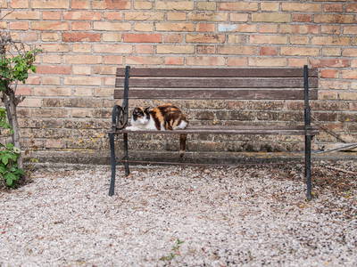 Bild 4 aus  Ferienwohnungen auf kleinem Reiterhof mit Pool