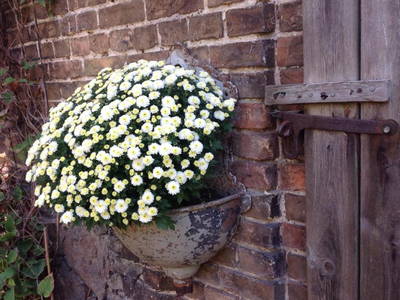 Bild 8 aus  Auszeithaus Brigittenhof