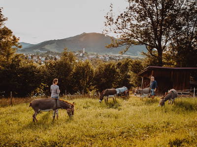 Bild 2 aus  Babel's Auszeit