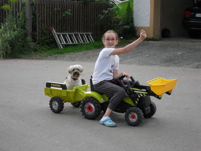 Bild 27 aus  Woferlhof