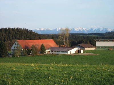 Bild 3 aus  Ferienhof Allgäumoos