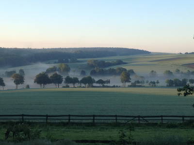 Bild 12 aus  Gutshof Wöbbel