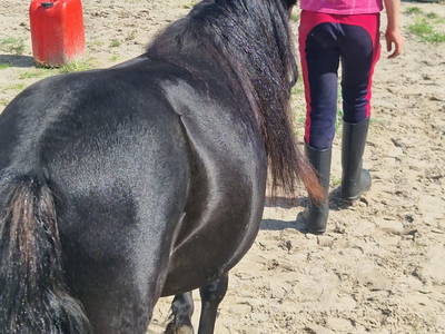 Bild 23 aus  Hof Janssen