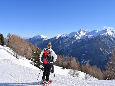 Bild 14 aus  Marschalkhof    Urlaub auf dem Bauernhof