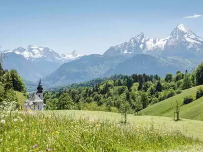 Bild 20 aus  Wiesenhäusl