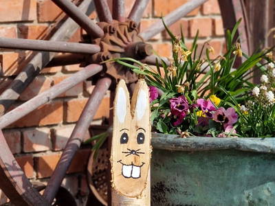 Bild 24 aus  Urlaub unterm Reet