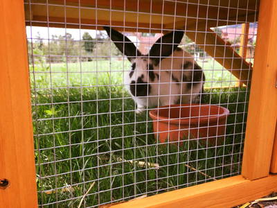 Bild 8 aus  Weihersmühle