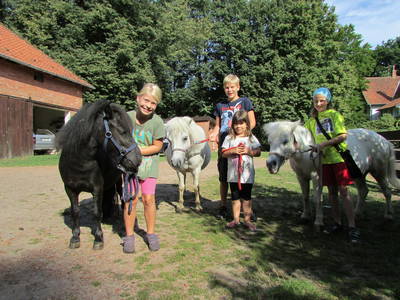 Bild 6 aus  Gut Grasbeck