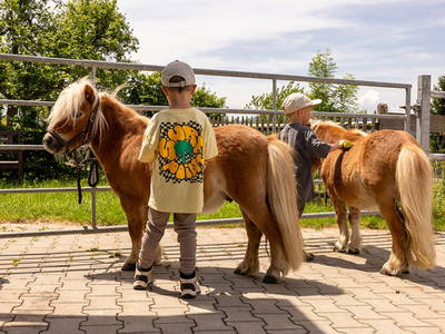 Ponys Striegeln - Ferienhof Sinz - Bild: Julie Baaske www.whiite.space