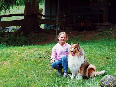 Bild 10 aus  Ferienparadies am Rennweg