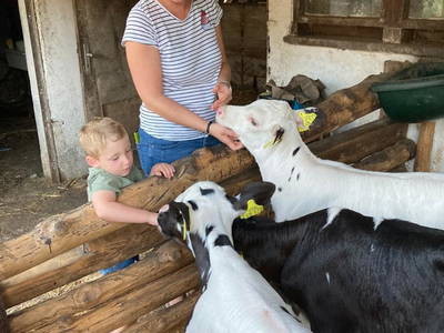 Bild 32 aus  Marienhof