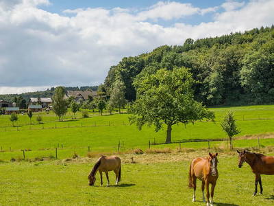 Bild 23 aus  Hof Keppel, der stromlose Urlaub