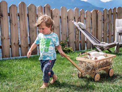 Bild 9 aus  Nussbaumerhof    (CIN: IT021011B5O4I2M5AI)